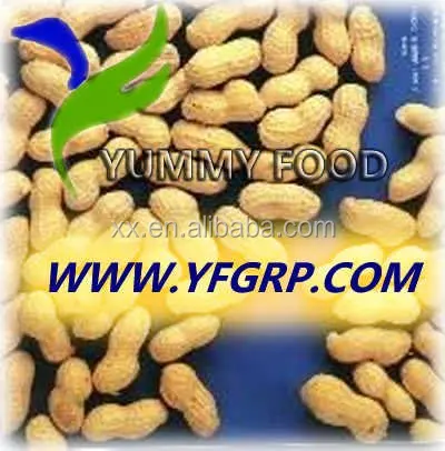 Raw Peanuts in Shell/Groundnuts in Shell for sell