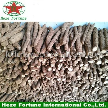 
Spring flower tree paulownia Tomentosa roots cutting for planting 