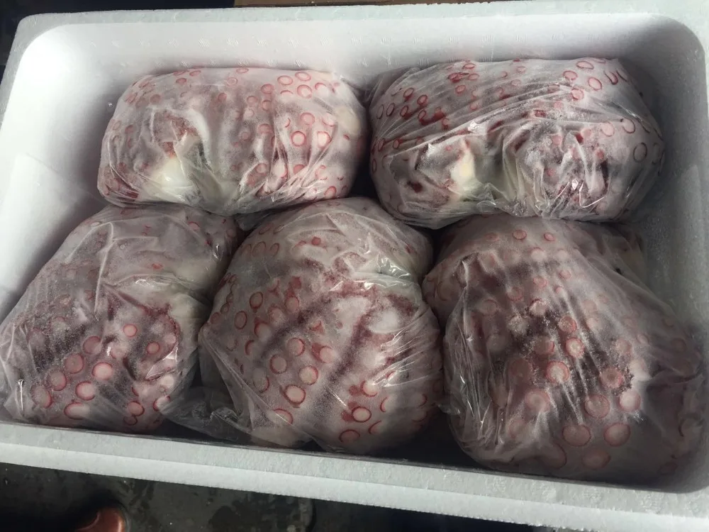 China Manufacturer Frozen Seasoned Cut Baby Octopus
