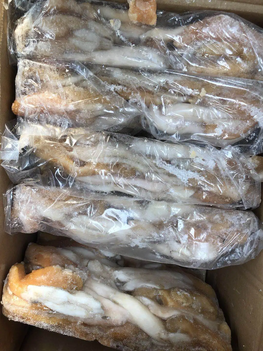 Frozen Gigas squid egg