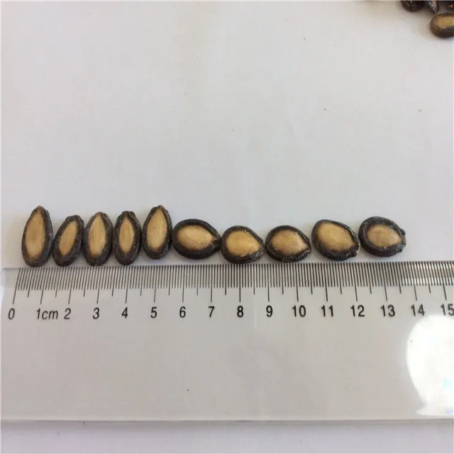  Семена китайского арбуза для человеческого потребления рыночная цена хорошего качества