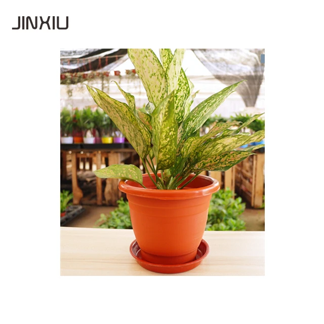 plant garden pottery bonsai plastic nursery plastic plant terracotta pots wholesale