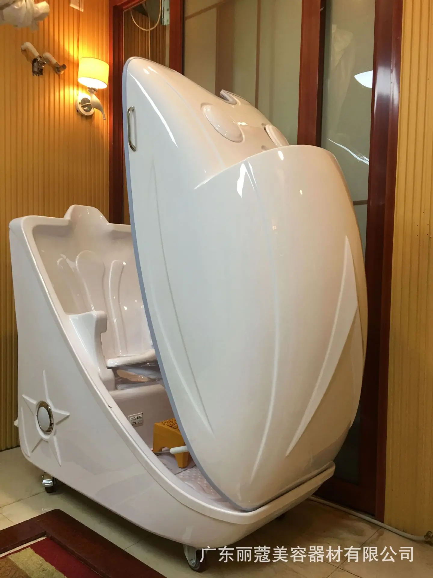 Most popular wet steam skin care machine ozone steam sauna for sale LK-219