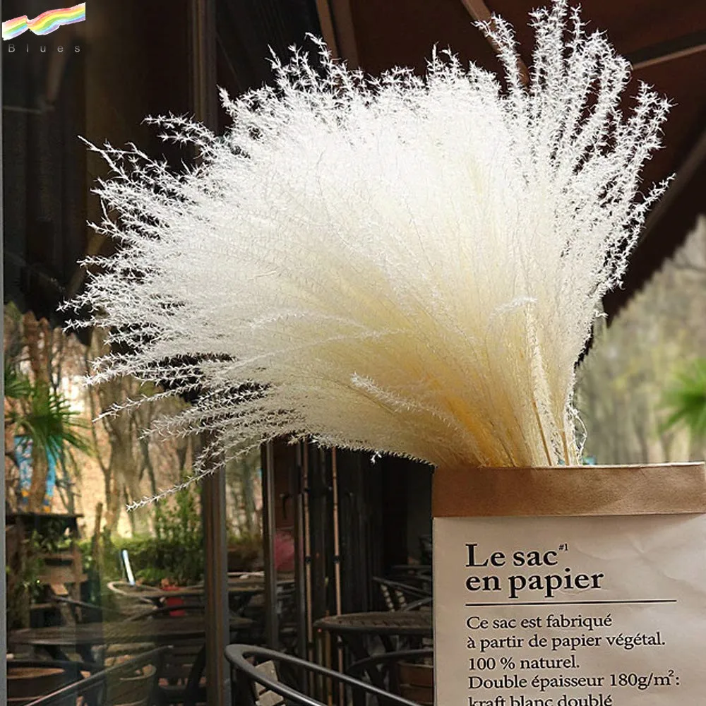 Сушеная пампасная трава тростник Натуральные сушеные цветы нефрагмиты декоративные перья тростник трава высокая трава