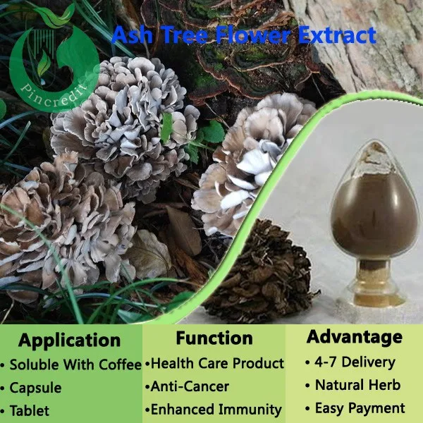 
Grifola frondosa extract, maitake mushroom extract polysaccharide powder 