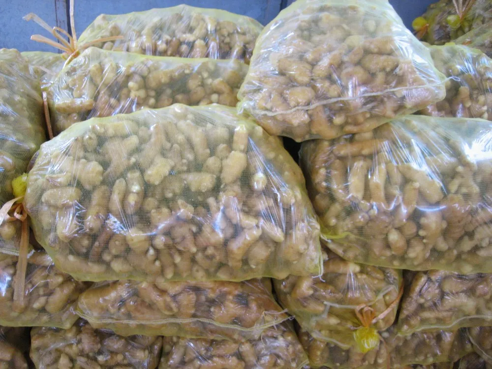 
Agriculture Of Wholesale Export Chinese Fresh Ginger Root Price 