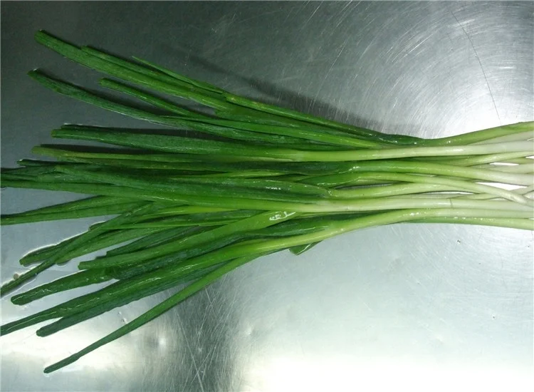 
Frozen Scallion Green Onion 