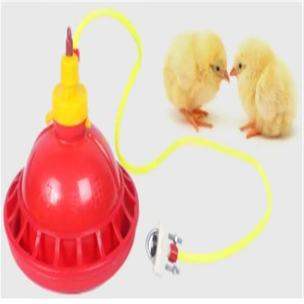 Factory price poultry plasson chicken drinker for sale