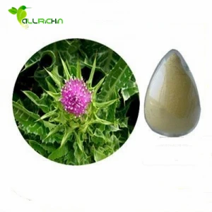 Natural Liver Protector Organic Silymarin Extract Powder with Best Price