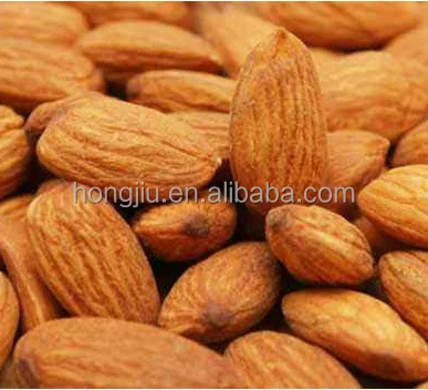 
High Quality 100% Nature Natural Apricot Seed P.E. 