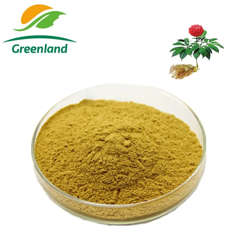 Factory Price Panax notoginseng extract, Sanchi extract, Pseudo-ginseng extract