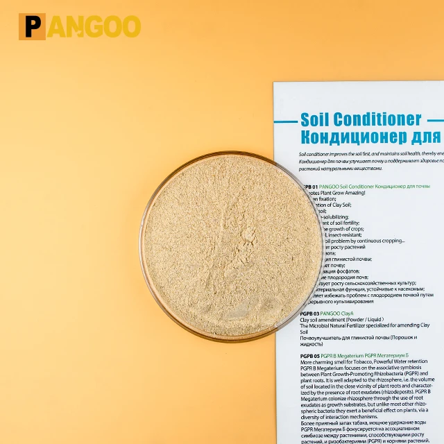 Bacillus amyloliquefaciens for crops bacteria