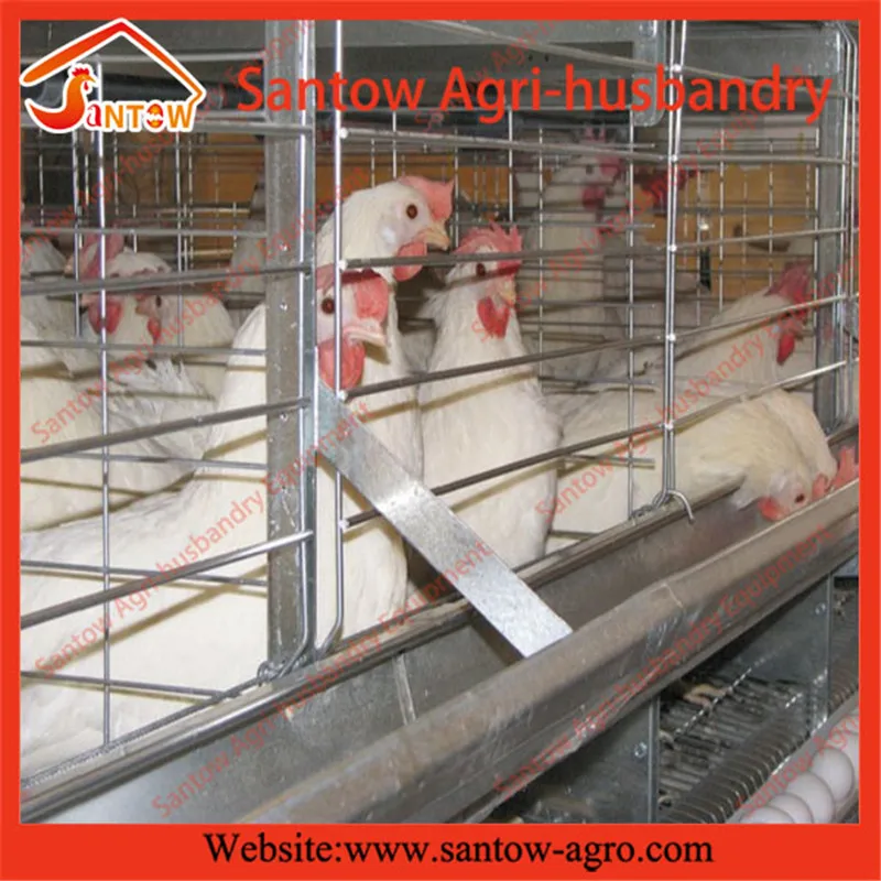 prefabricated chicken coop hen house for sale / metal wire mesh laying hen houses Vertical H-Type Frame