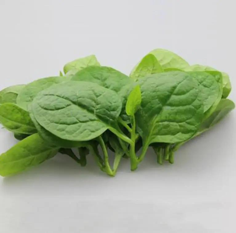 250g/bag High quality edible dry Vegetable Seeds loose Ceylon Spinach Seeds
