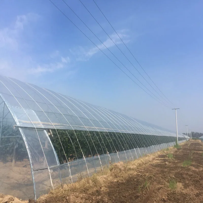 China Brand Factory Price UV Treated Agricultural Plastic Film Tunnel Greenhouse With 150/200 micron film