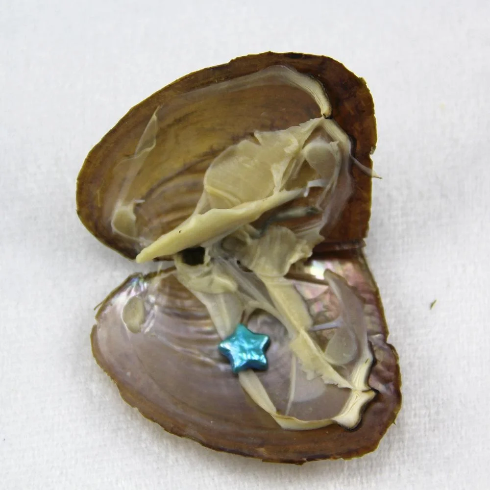 
Wholesale Oyster Shells With Natural Pearl,9-11mm Baroque pearls,Star Shape Pearls in Freshwater Oysters Vacuum-packed 
