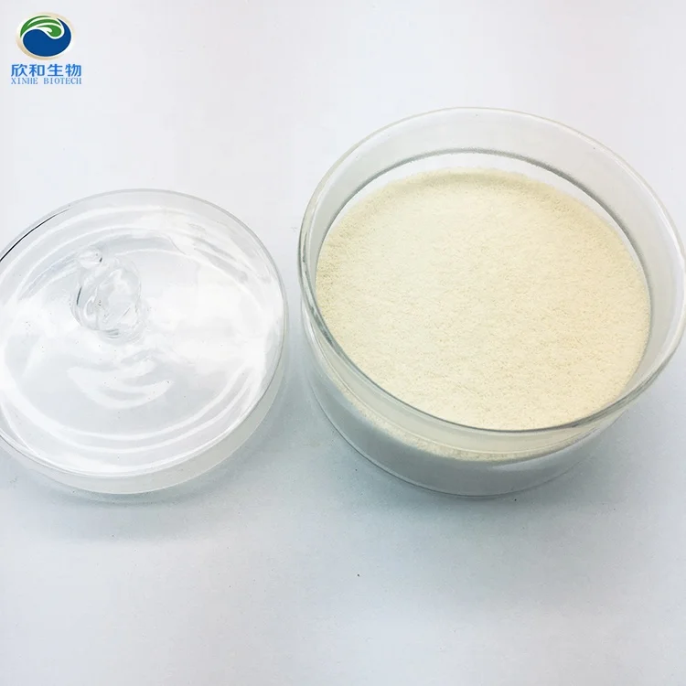 Vegan Algal DHA Powder for Supplementing PUFA Algae DHA Omega 3