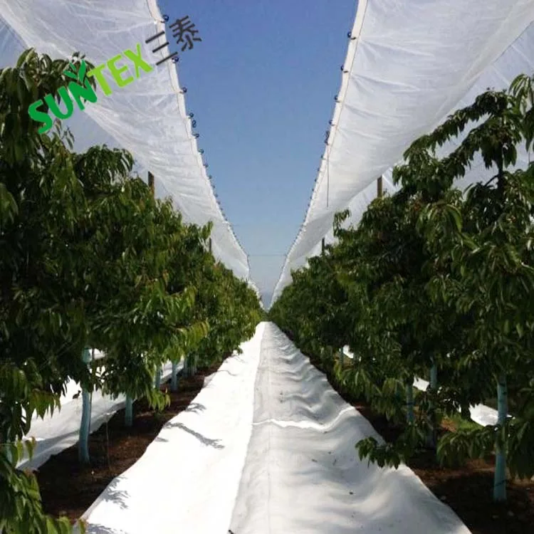 UV Resistant Black Snake Clips, Cherry Cover Hanging C Hooks, Anti Hail Net Bird Connector Clamps