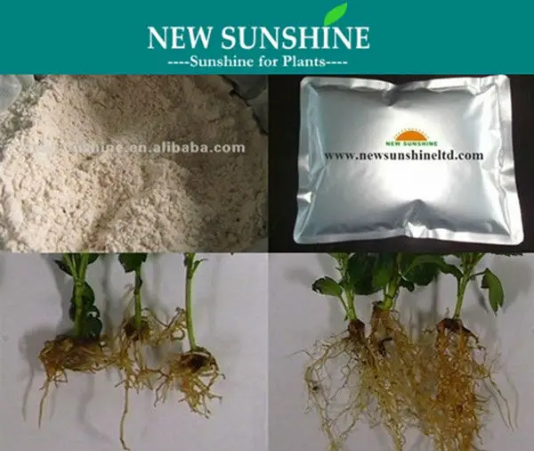 Auxin Rooting Hormone For Plant