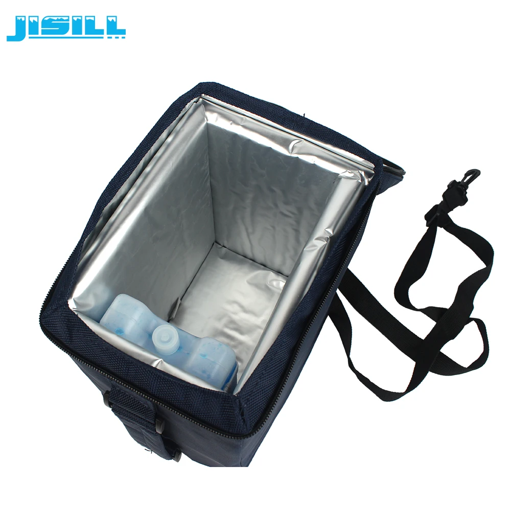 Factory Wholesale Isothermal Smart Vaccine Cooler Bag Thermal PU Foaming/vpu Vacuum Insulation Panel CANS 600D Oxford Cloth 4L