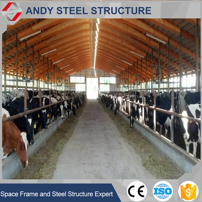 Prefab steel structure dairy cow shed farm
