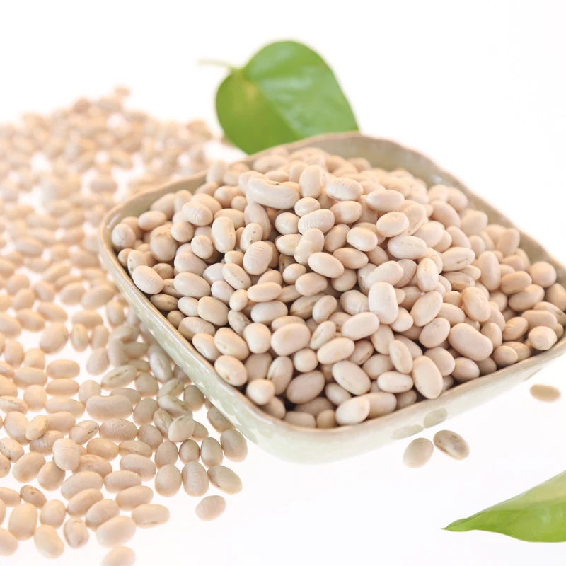 Common cultivation white haricot beans from china