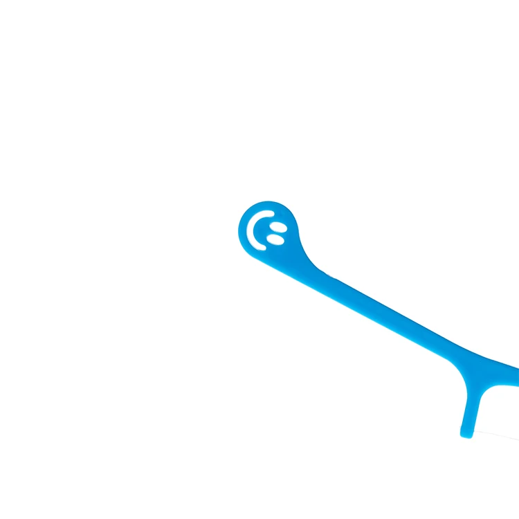 Eco-Friendly Cleaning Wholesale dental floss toothpick in case