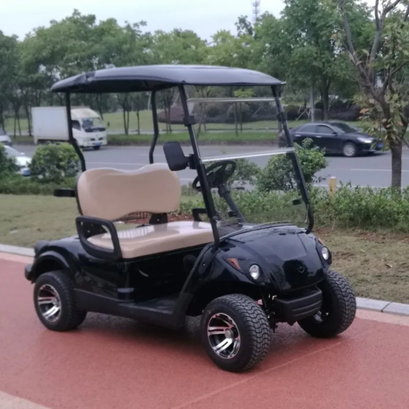 2 seat electric rechargeable mini golf cart for golf club