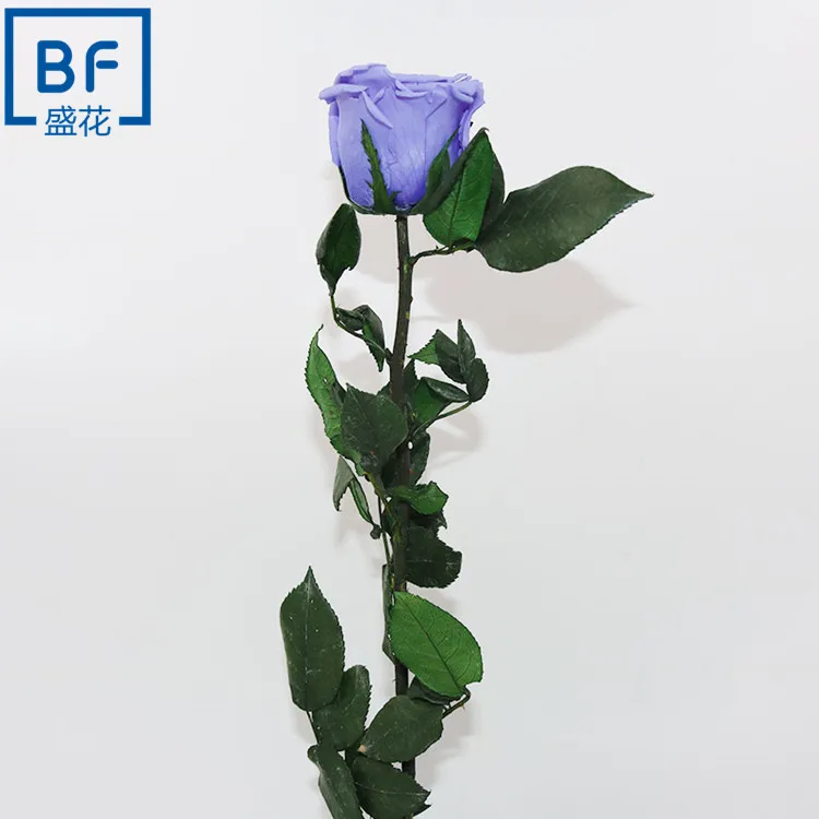 Long last real touch preserved stem rose flower wholesale fresh