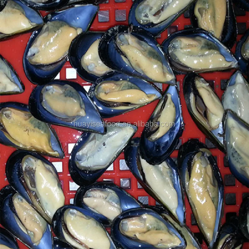 seafood company supply all types of frozen mussel