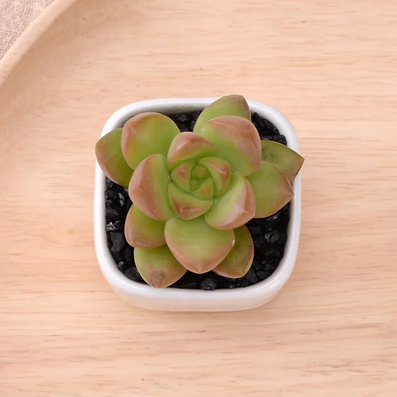 Mini square ceramic fleshy plant flowerpot