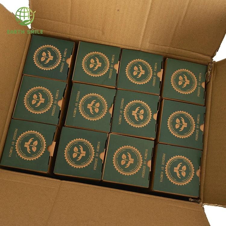 BPI Certified Logo Custom Printed Eco Friendly Black Blue Bio Compostable Bags Antistatic Clear Degradable Trash Bags On Roll