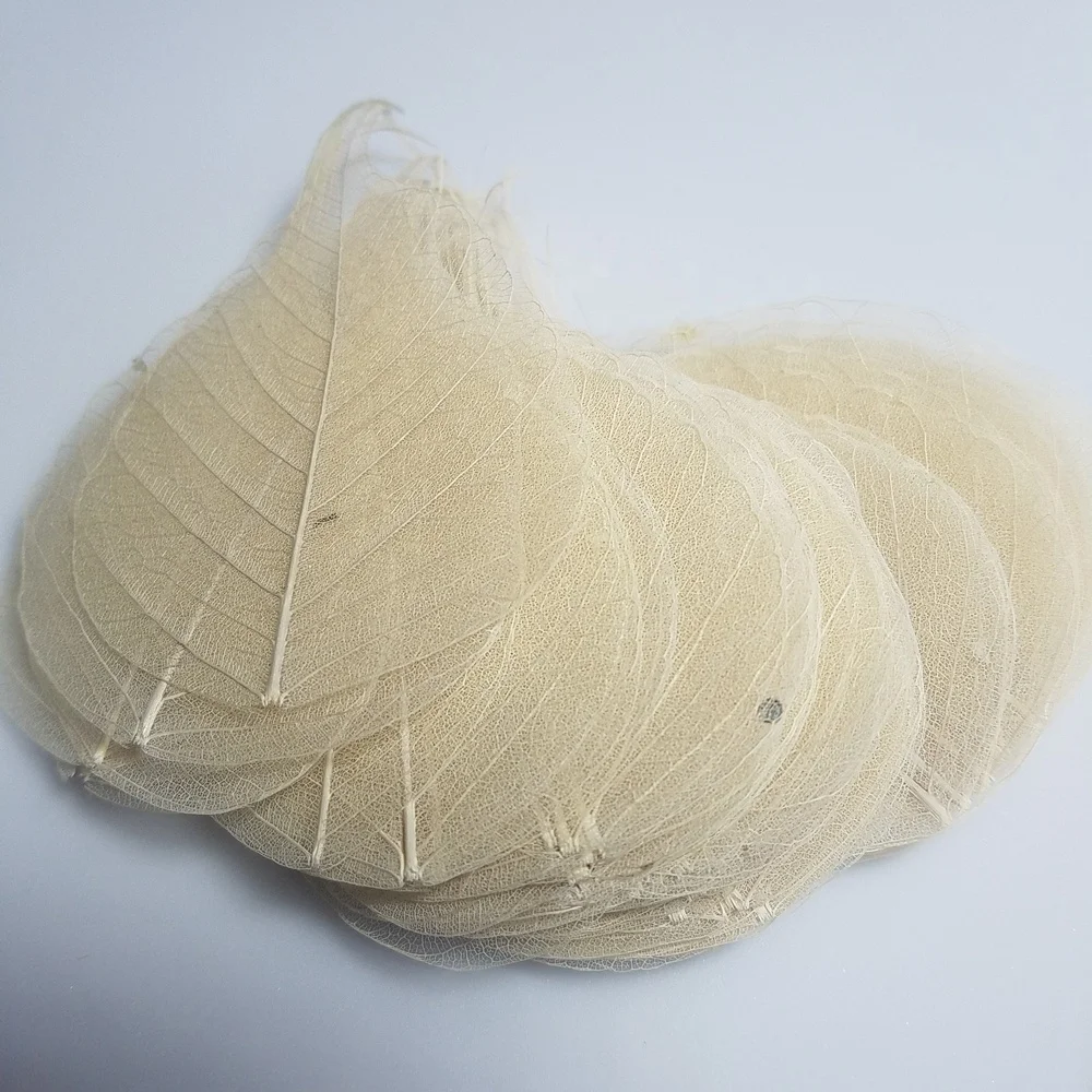 Small Medium Large Bulk Pack Natural Skeleton Leaves For Wedding Table Decoration