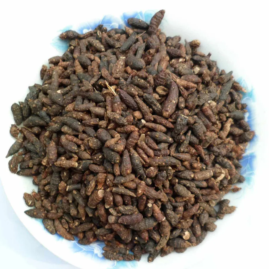 
2021 Touchhealthy supply chinese herbs Cyperus Rotundus/RHIZOMA CYPERI slice/Nutgrass Galingale Rhizome for sales 