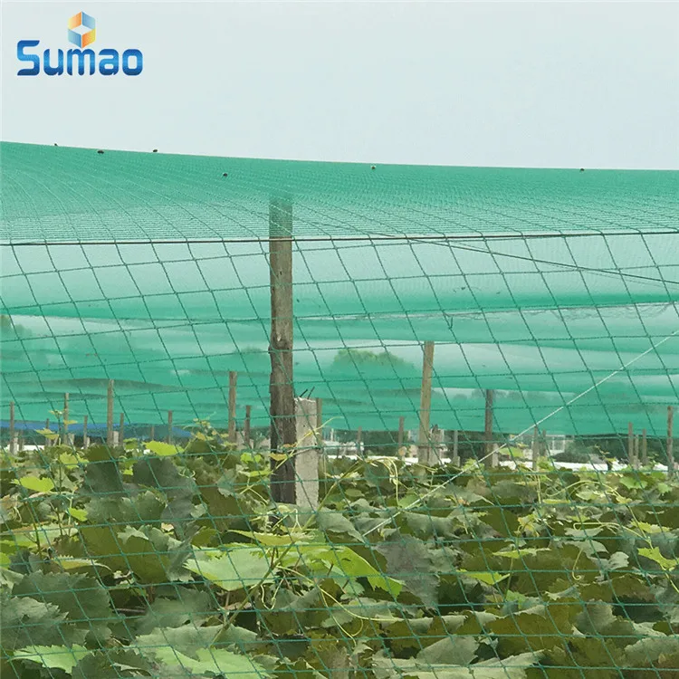 
Best-Selling high strength anti bird net trap to catch bird to protect fruit tree 