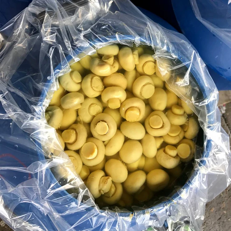 So yummy whole brined champignon mushroom in drum