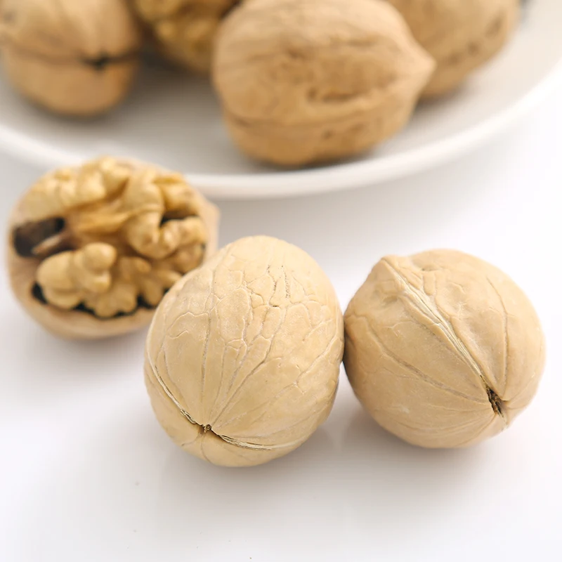 
whole raw walnut in shell walnut export 