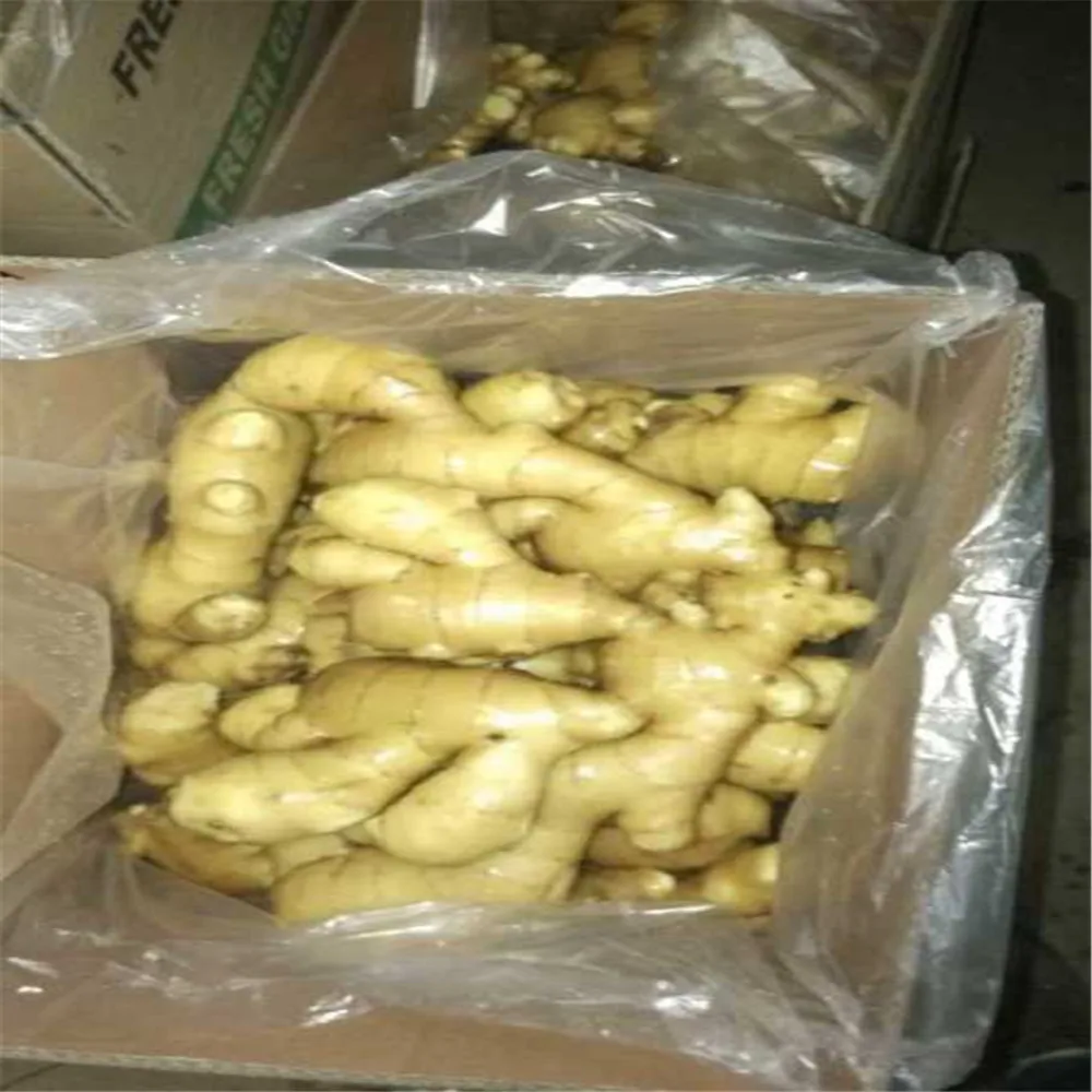 
Carton fresh ginger mesh bag fresh ginger 