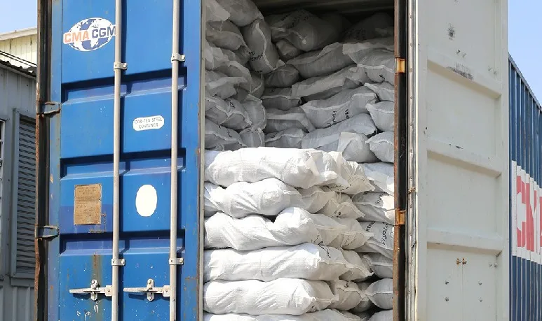 1G 2G FLOATADORES Fishing Float