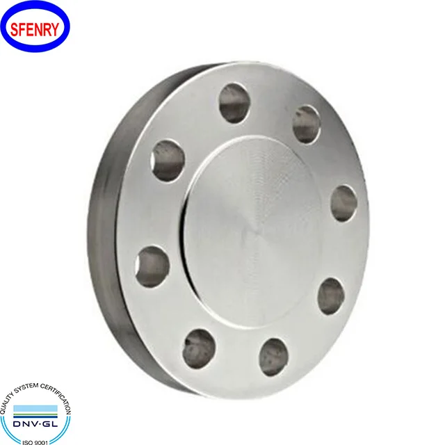 Sfenry Mild Carbon Steel Blind Flange ANSI B16.5 Class 300 RF A105