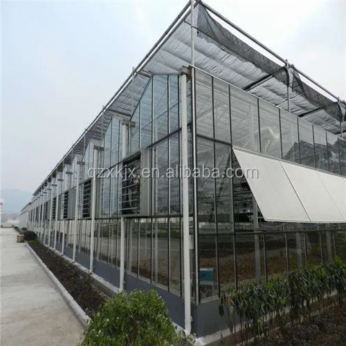 Multi-span greenhouse frame greenhouse glass agriculture greenhouse hot sale