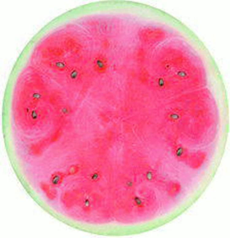 Watermelon Shaped Round Beach Towel