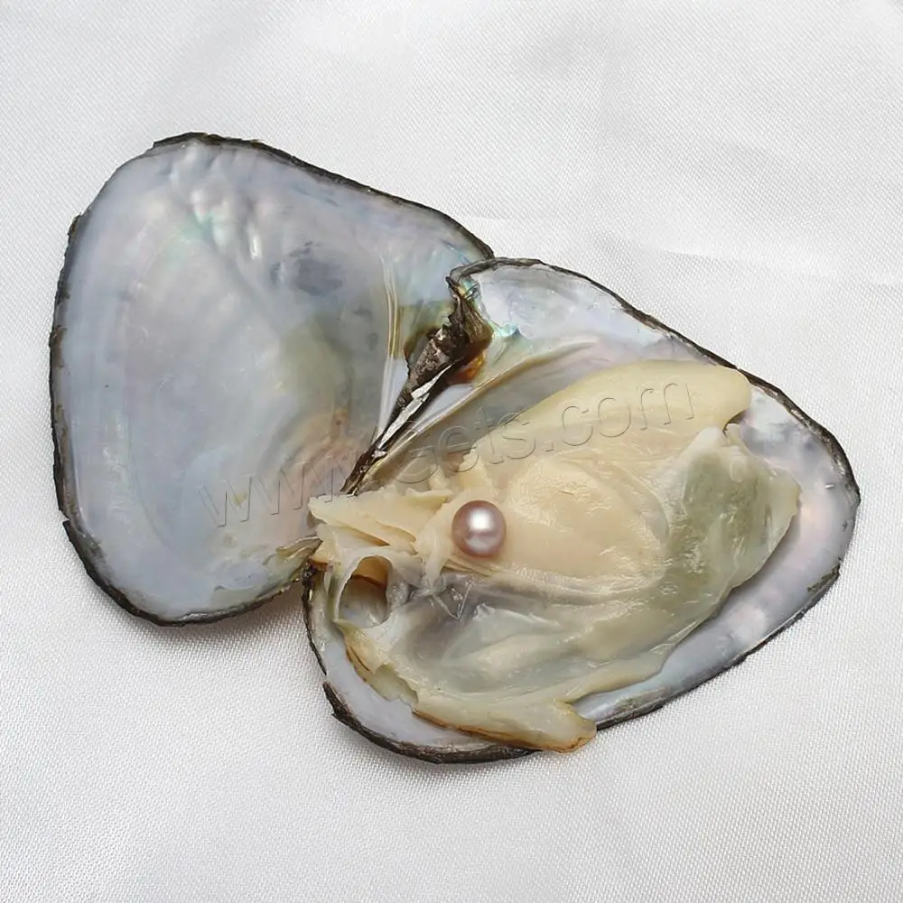 7-8mm wholesale the sea mussel is packed with round beads vacuum packed freshwater pearl oyster mussel