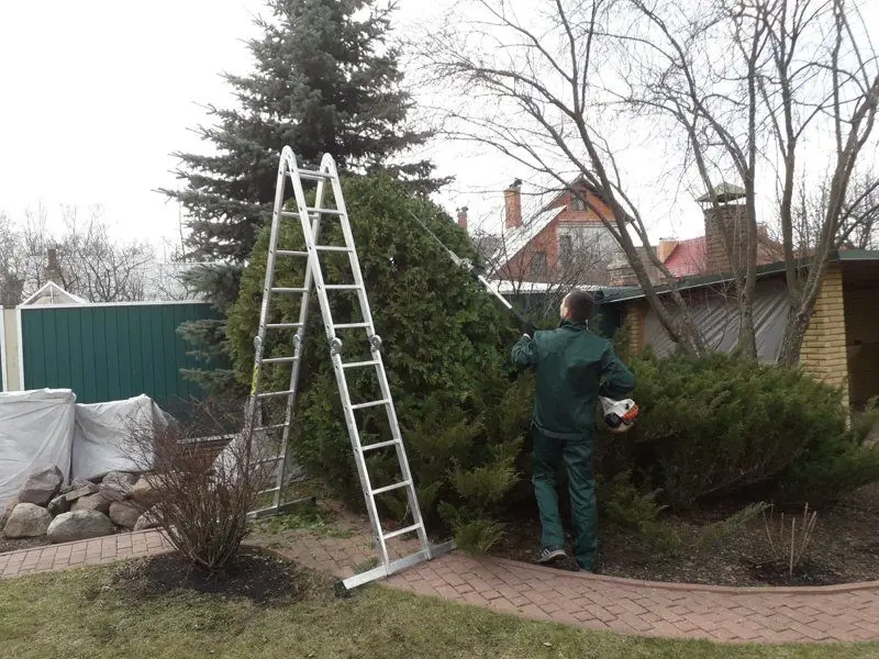 Lightweight orchard ladders aluminum tripod ladder