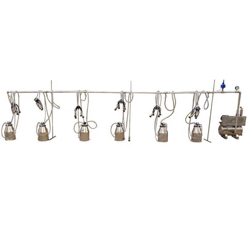 240CC milk claw L80 Pulsator 6 bucket pipeline milking machine for dairy farm