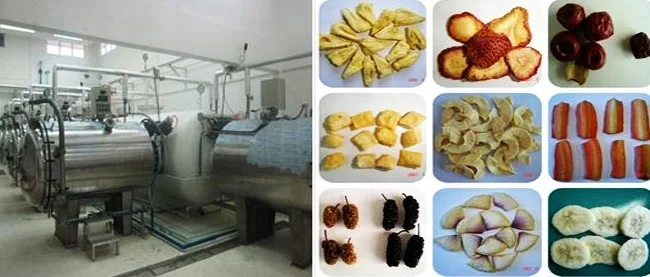 
Vacuum Freeze Drying Machine freeze dryer for sale series for vegetable and fruit Chemical ,Seafood 
