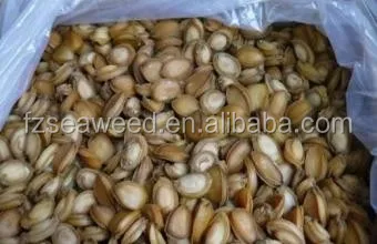 Dried Sea Abalone Seafood Factory Price