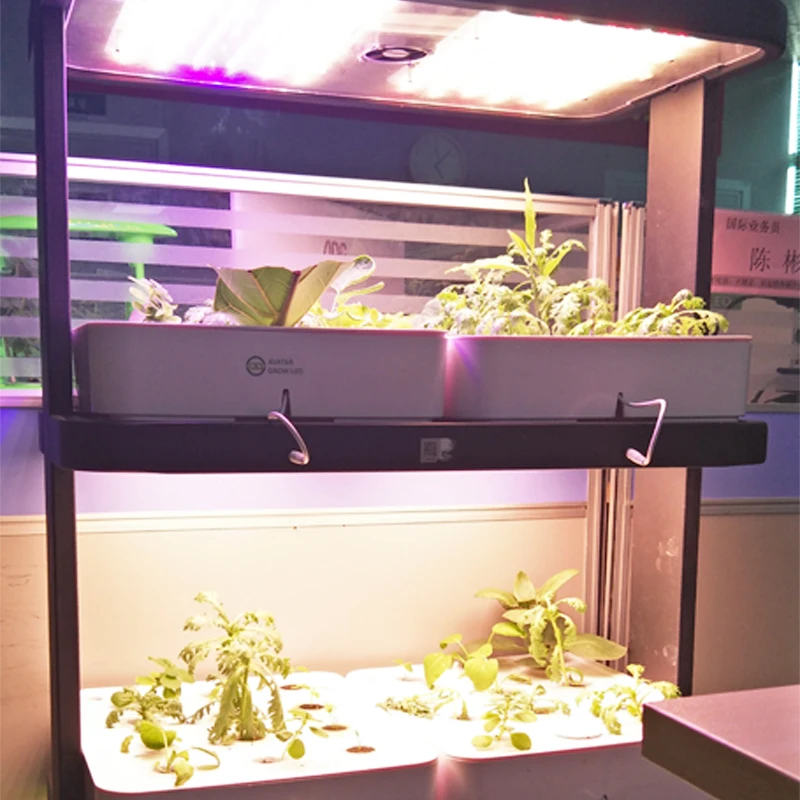 Shenzhen Hot Sale Avatar 120W 3 layers eco-kitchen hydroponic Greenhouse Grow Vertical cabinet/box for lettuce&tomato&pepper