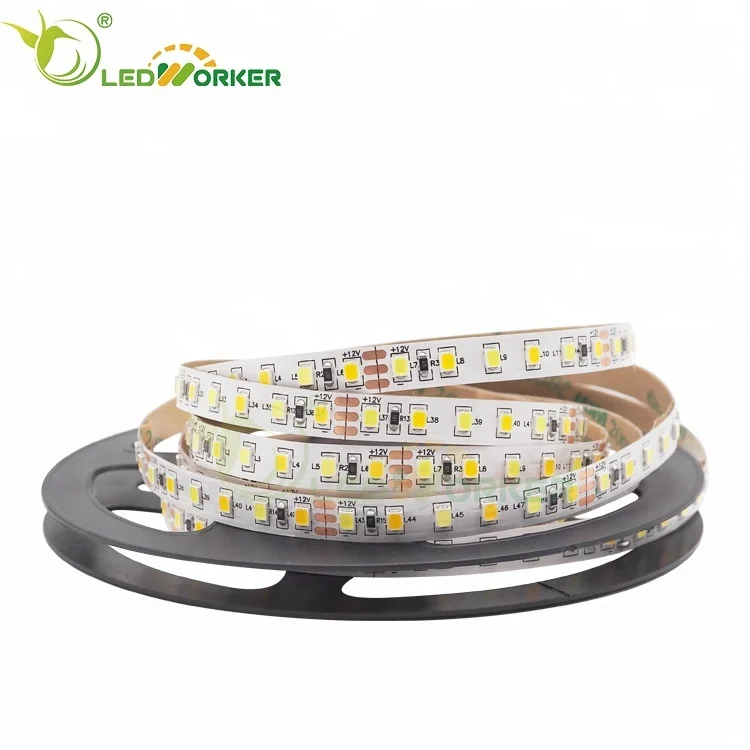 Best Price 3 Volt Led Strip Lighting 240 Leds/m 2 Row 60 Inch SMD2835 RGBW Led Stripe Lights