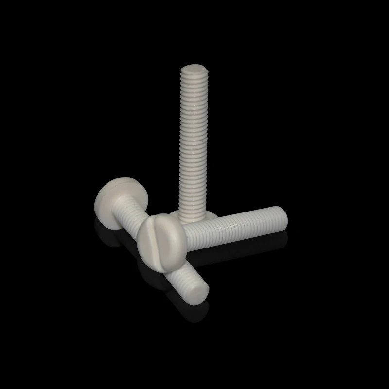 Plastic Slot Pan Head Polypropylene PP Plastic  bolt  plastic screw and nut